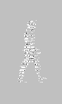 pic for walking man